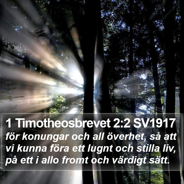 1 Timotheosbrevet 2:2 SV1917 Bible Study