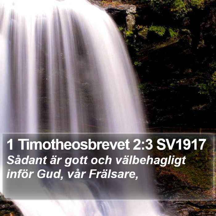 1 Timotheosbrevet 2:3 SV1917 Bible Study