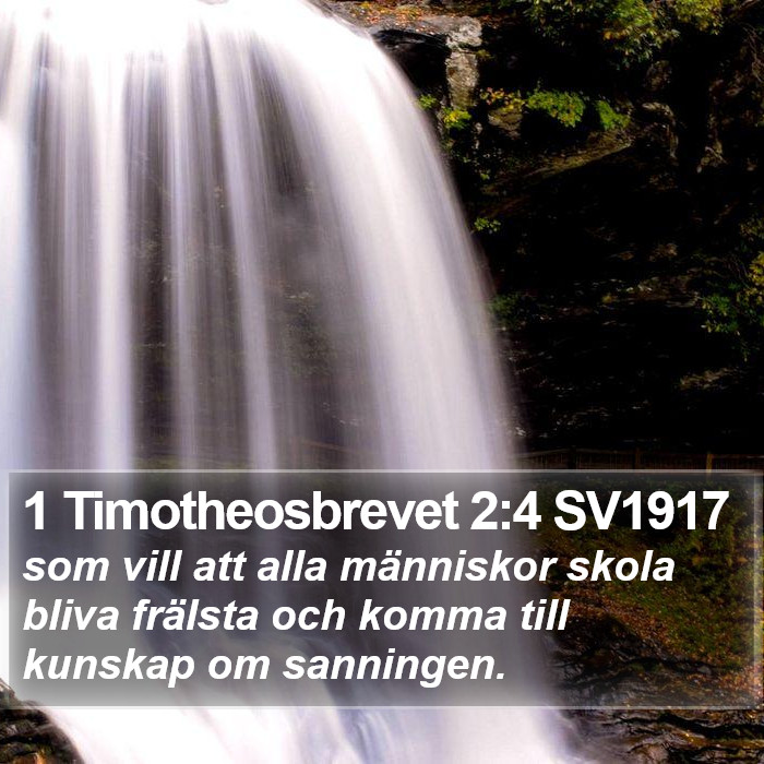 1 Timotheosbrevet 2:4 SV1917 Bible Study