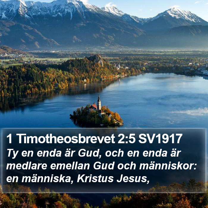 1 Timotheosbrevet 2:5 SV1917 Bible Study