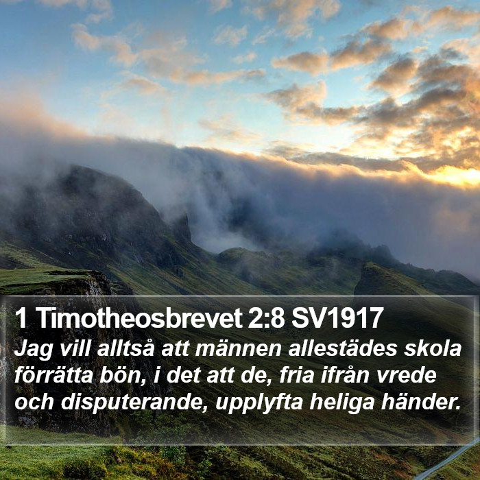 1 Timotheosbrevet 2:8 SV1917 Bible Study