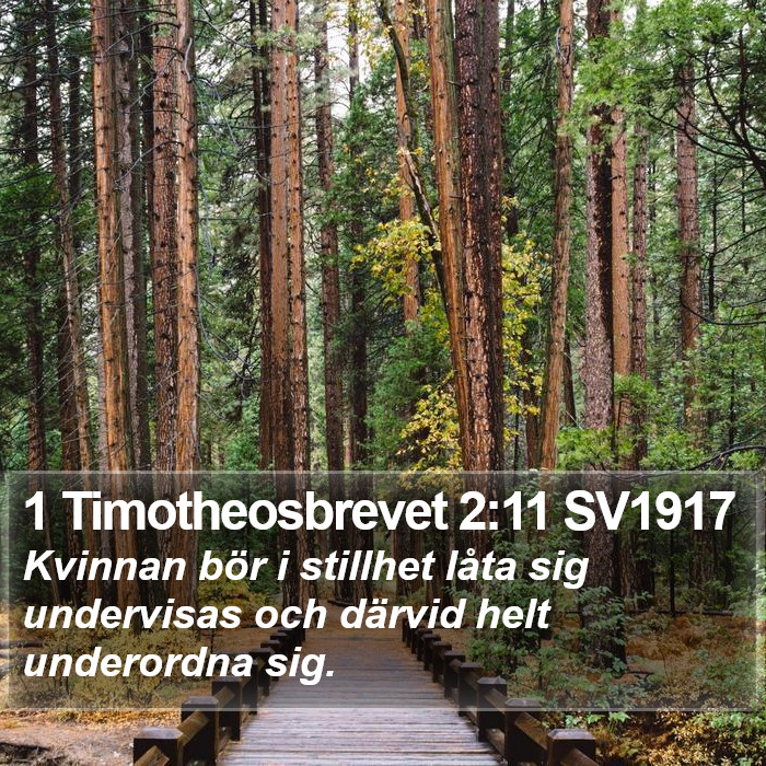 1 Timotheosbrevet 2:11 SV1917 Bible Study