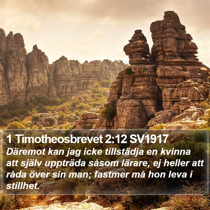 1 Timotheosbrevet 2:12 SV1917 Bible Study