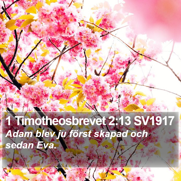 1 Timotheosbrevet 2:13 SV1917 Bible Study