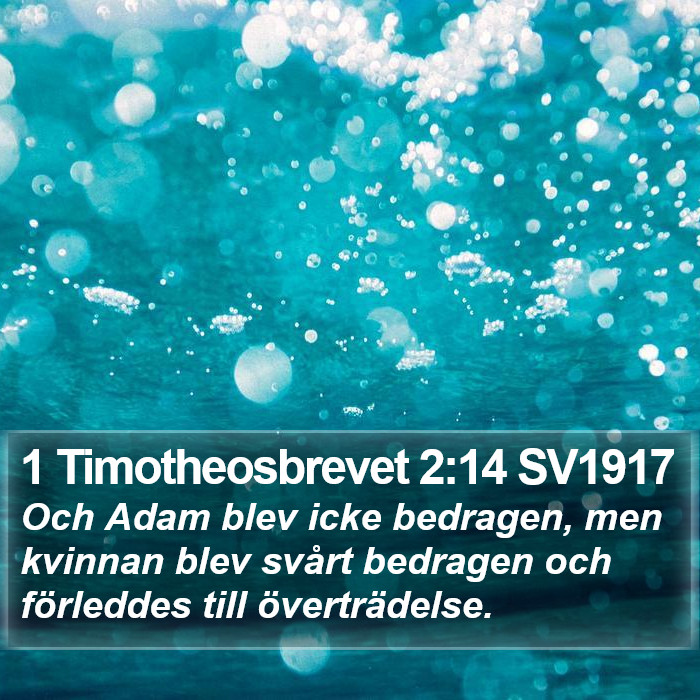 1 Timotheosbrevet 2:14 SV1917 Bible Study