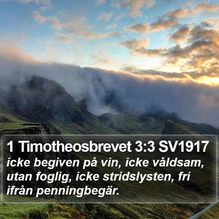 1 Timotheosbrevet 3:3 SV1917 Bible Study