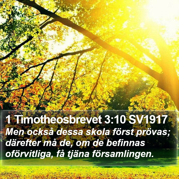 1 Timotheosbrevet 3:10 SV1917 Bible Study