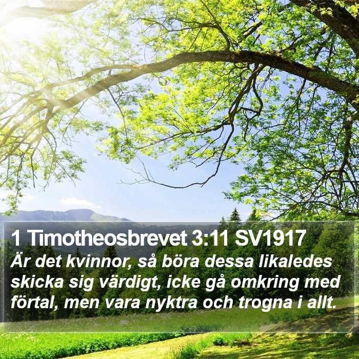 1 Timotheosbrevet 3:11 SV1917 Bible Study
