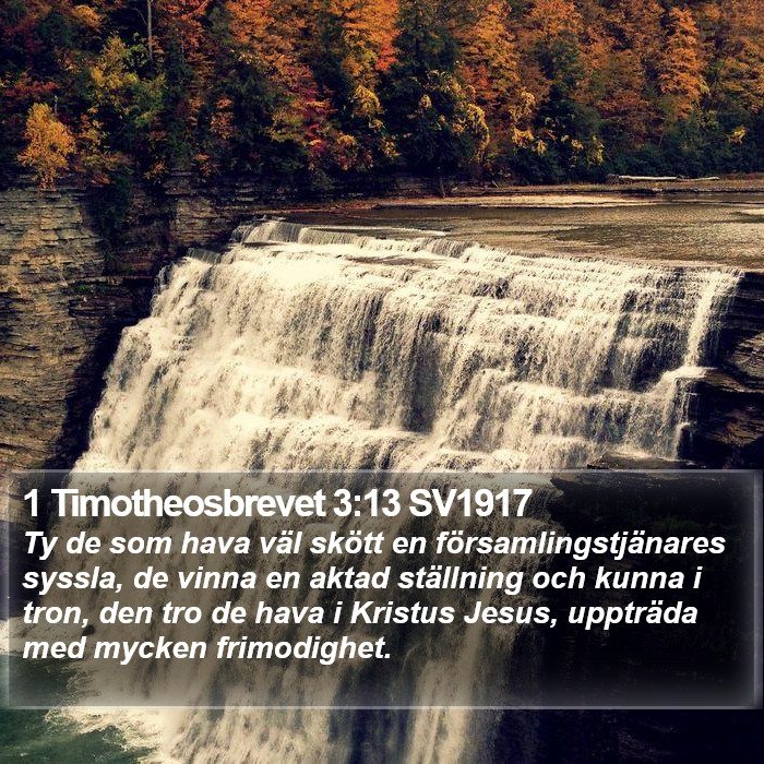 1 Timotheosbrevet 3:13 SV1917 Bible Study