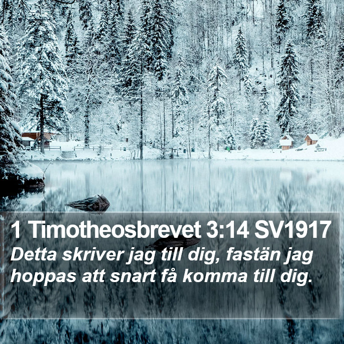 1 Timotheosbrevet 3:14 SV1917 Bible Study
