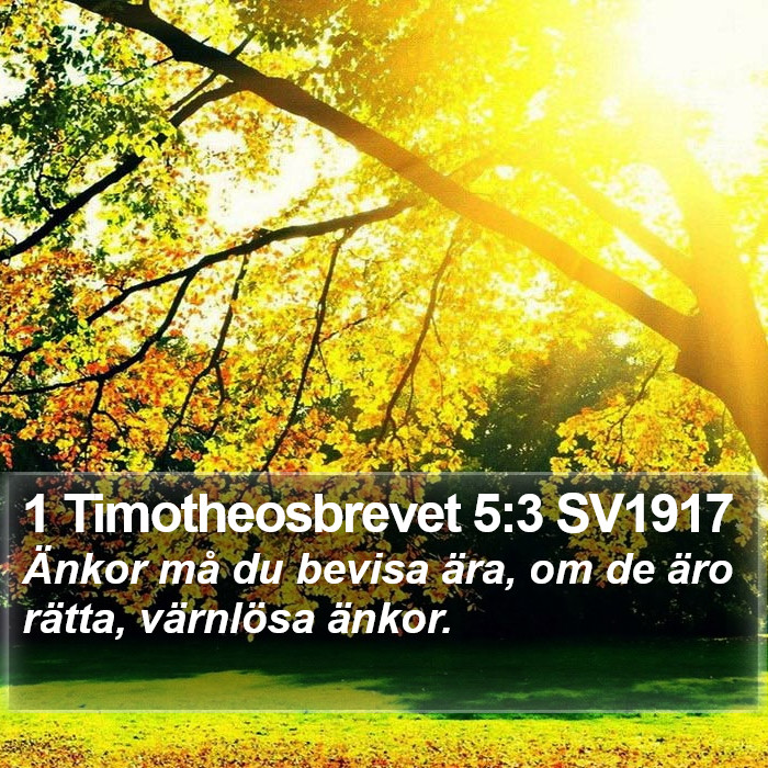 1 Timotheosbrevet 5:3 SV1917 Bible Study