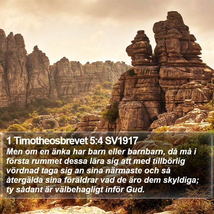 1 Timotheosbrevet 5:4 SV1917 Bible Study