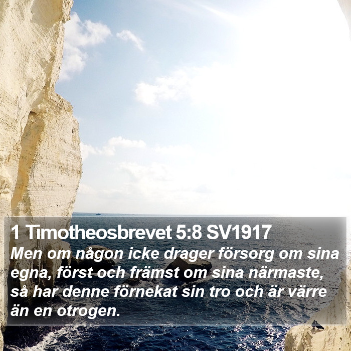 1 Timotheosbrevet 5:8 SV1917 Bible Study