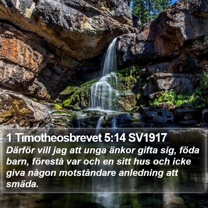 1 Timotheosbrevet 5:14 SV1917 Bible Study