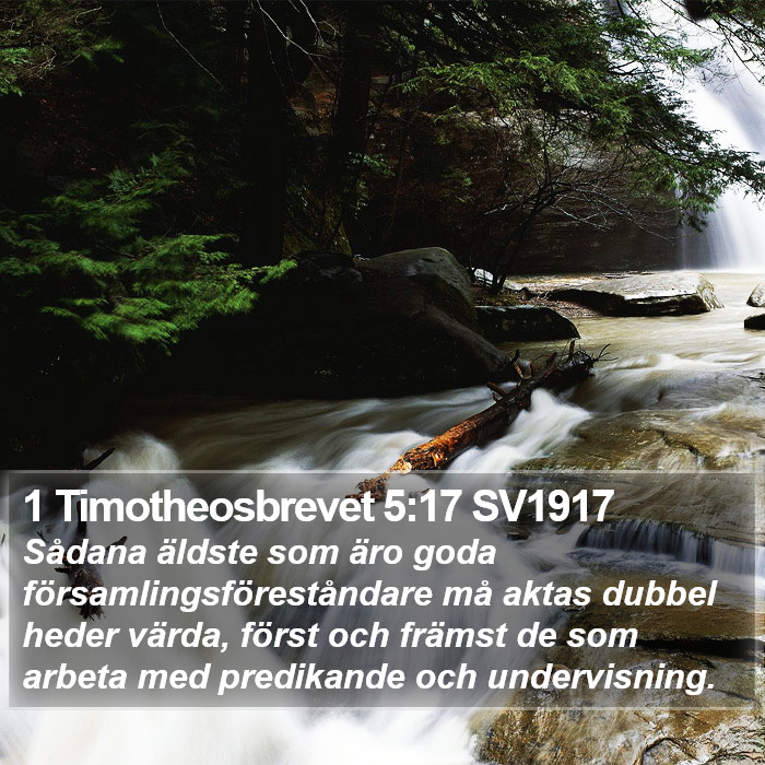 1 Timotheosbrevet 5:17 SV1917 Bible Study