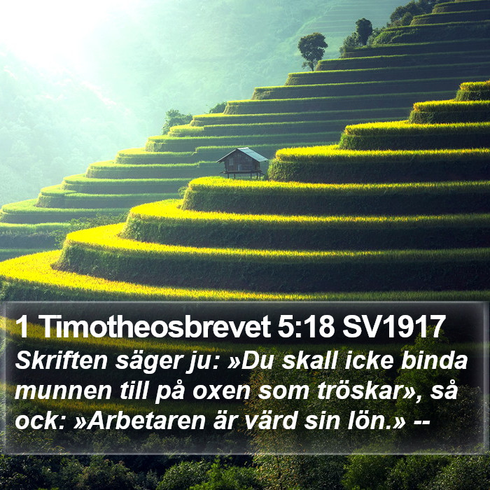 1 Timotheosbrevet 5:18 SV1917 Bible Study