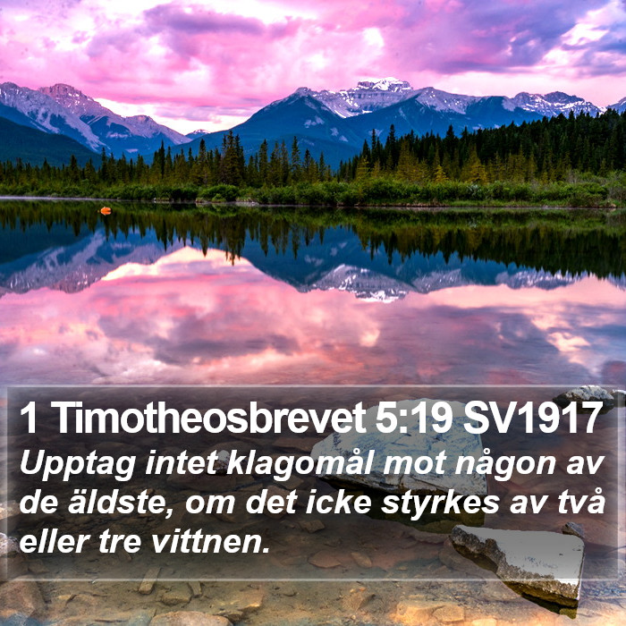 1 Timotheosbrevet 5:19 SV1917 Bible Study