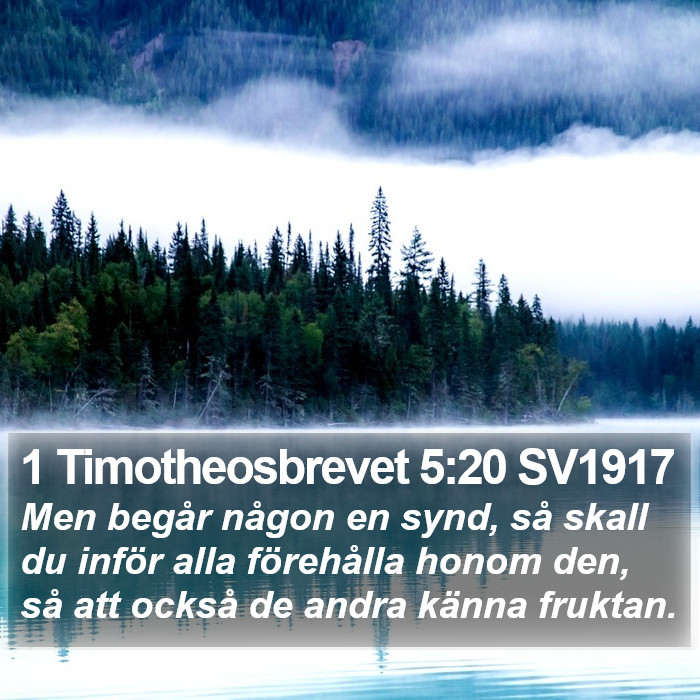 1 Timotheosbrevet 5:20 SV1917 Bible Study