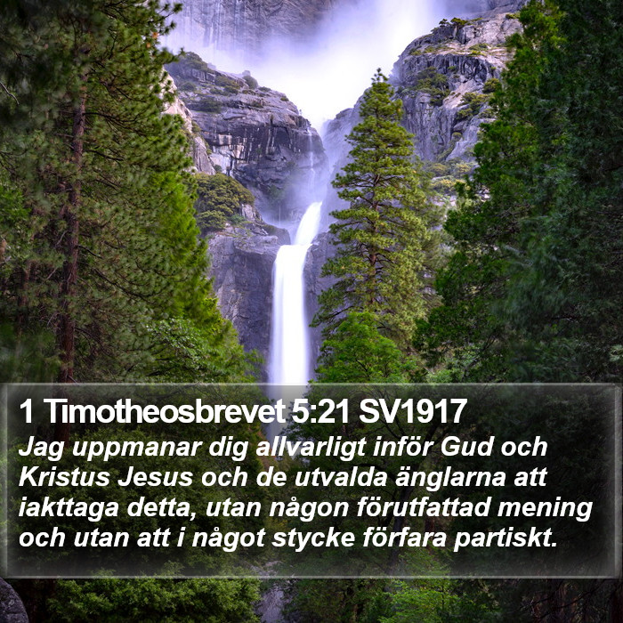 1 Timotheosbrevet 5:21 SV1917 Bible Study