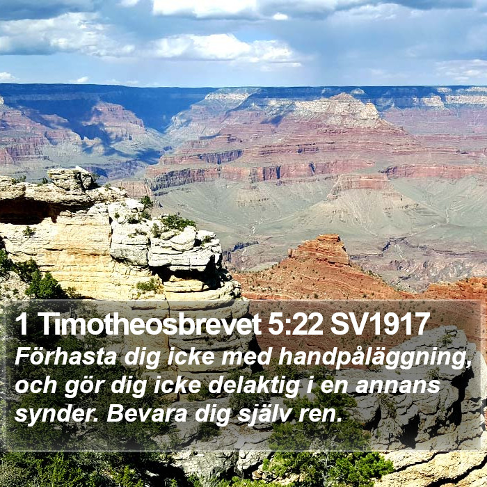 1 Timotheosbrevet 5:22 SV1917 Bible Study