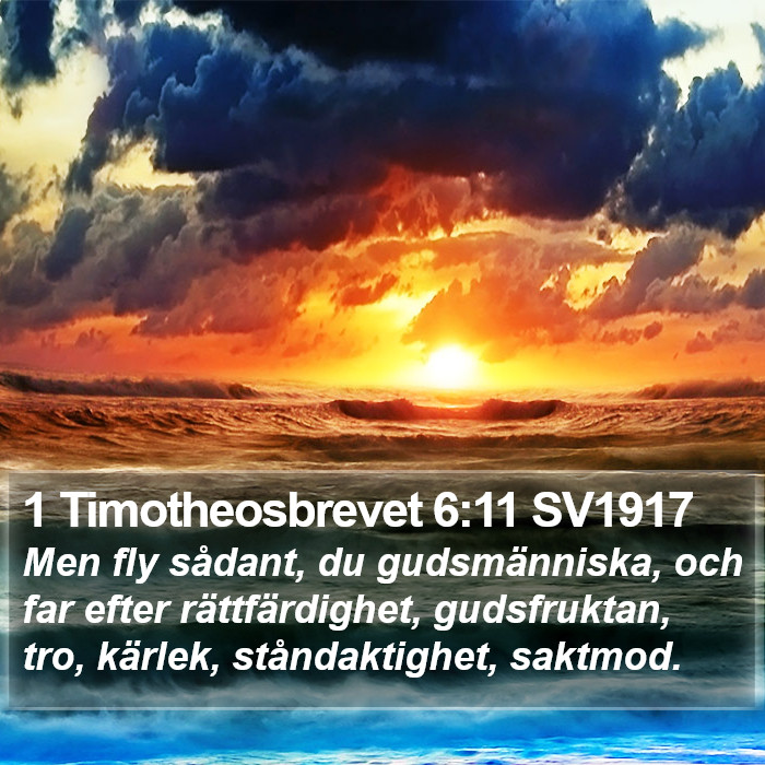 1 Timotheosbrevet 6:11 SV1917 Bible Study