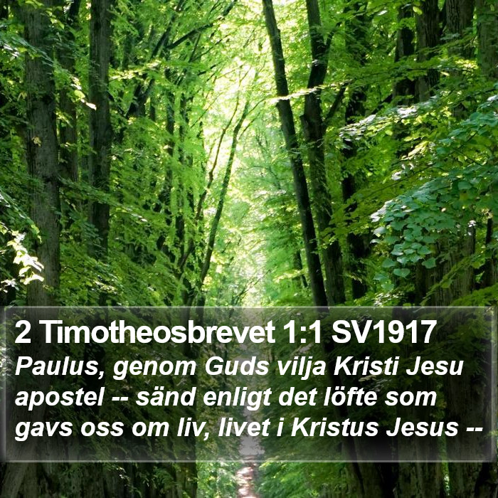 2 Timotheosbrevet 1:1 SV1917 Bible Study