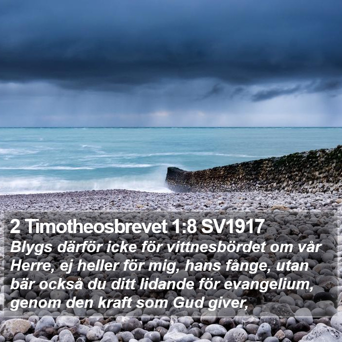 2 Timotheosbrevet 1:8 SV1917 Bible Study