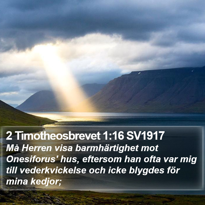 2 Timotheosbrevet 1:16 SV1917 Bible Study