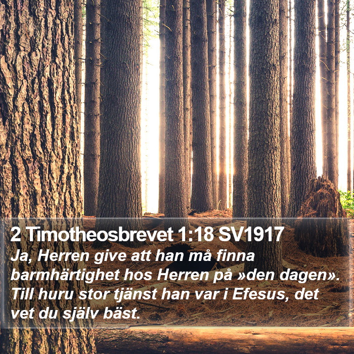 2 Timotheosbrevet 1:18 SV1917 Bible Study