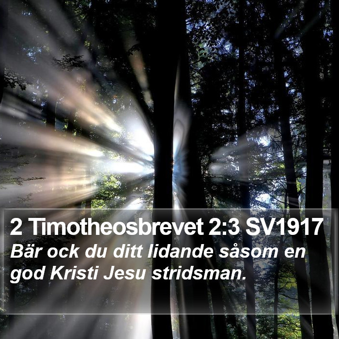 2 Timotheosbrevet 2:3 SV1917 Bible Study