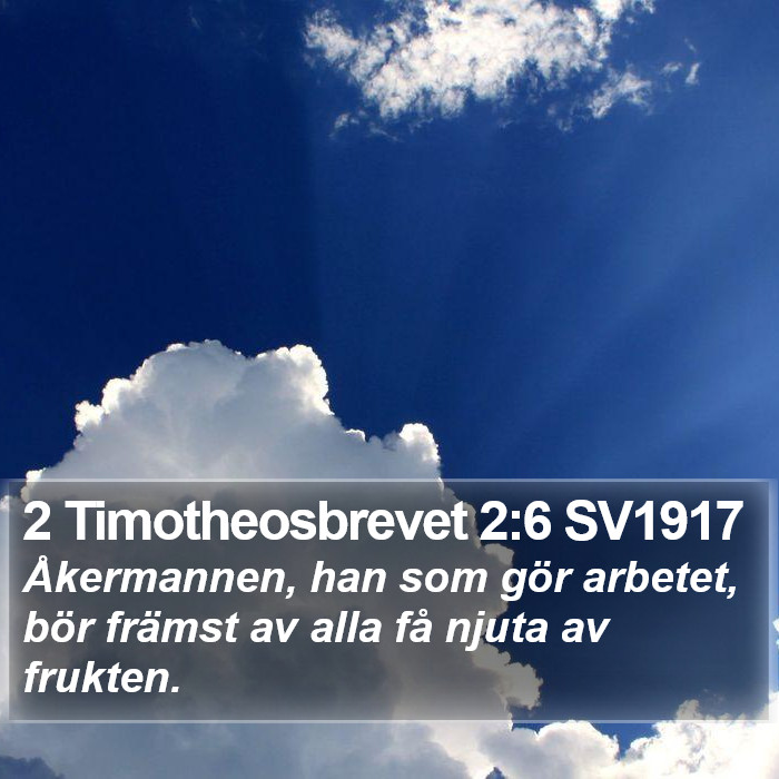 2 Timotheosbrevet 2:6 SV1917 Bible Study