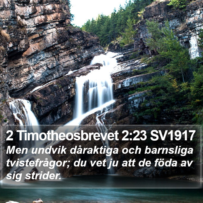 2 Timotheosbrevet 2:23 SV1917 Bible Study