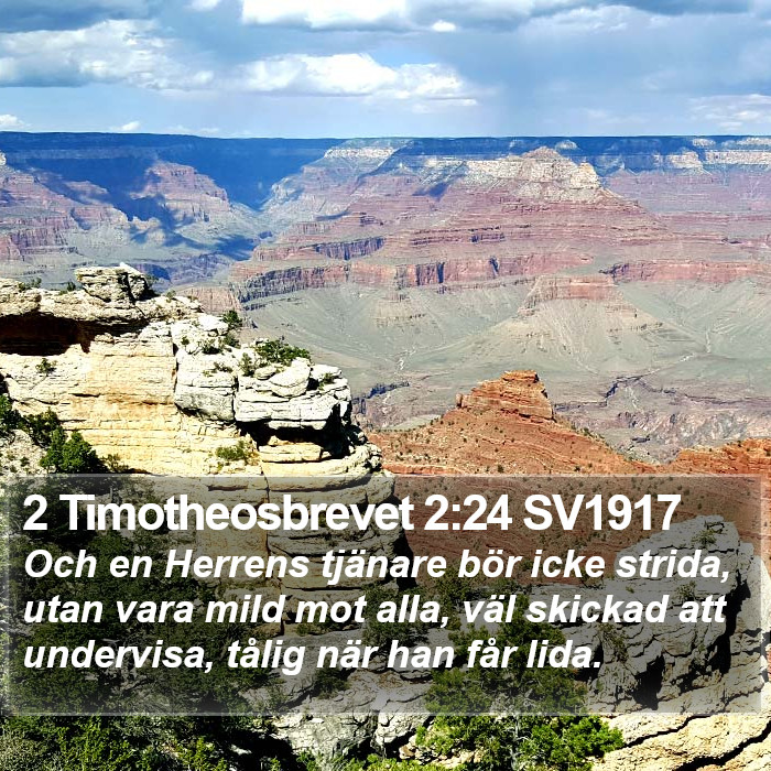 2 Timotheosbrevet 2:24 SV1917 Bible Study