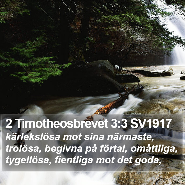 2 Timotheosbrevet 3:3 SV1917 Bible Study