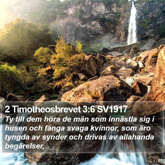2 Timotheosbrevet 3:6 SV1917 Bible Study