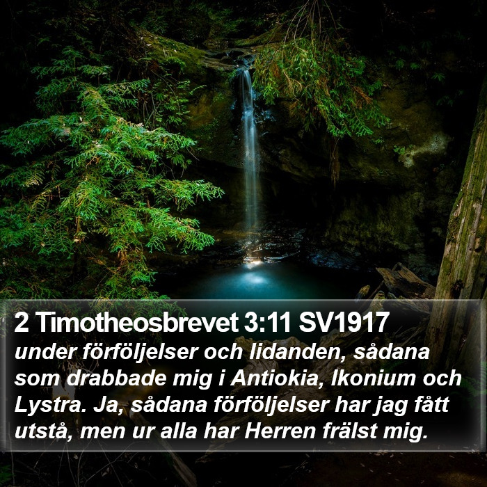 2 Timotheosbrevet 3:11 SV1917 Bible Study