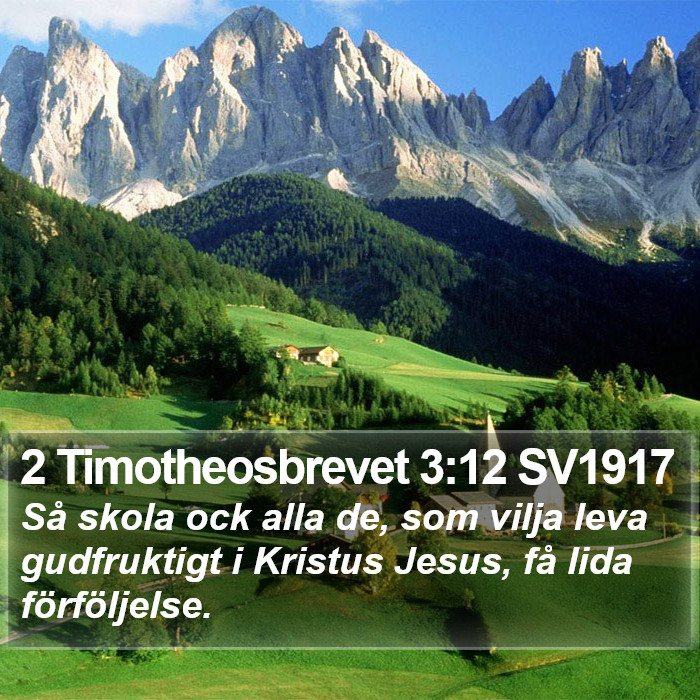2 Timotheosbrevet 3:12 SV1917 Bible Study