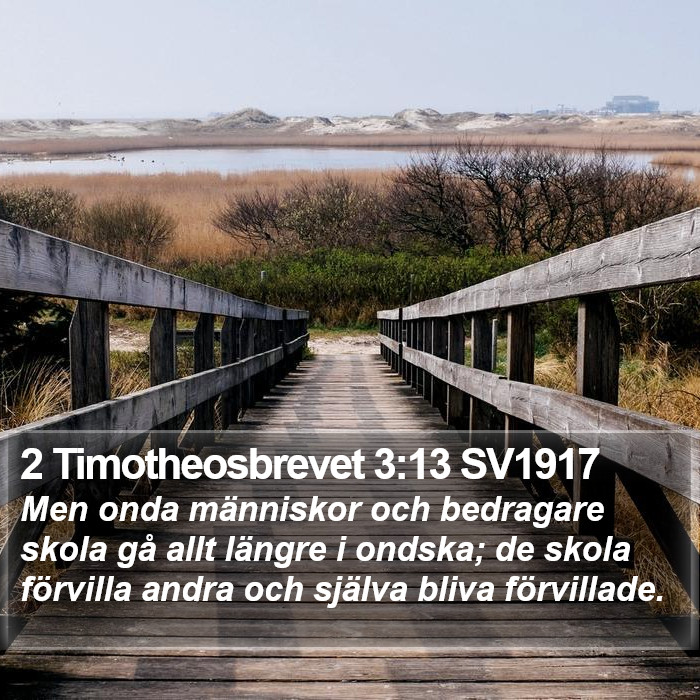 2 Timotheosbrevet 3:13 SV1917 Bible Study