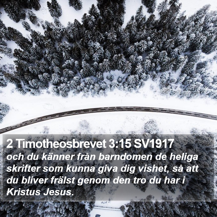 2 Timotheosbrevet 3:15 SV1917 Bible Study
