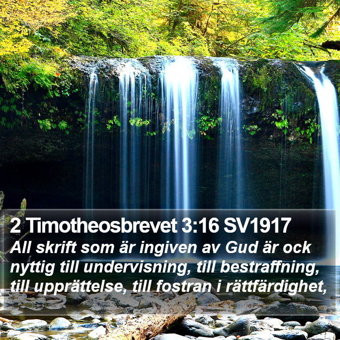 2 Timotheosbrevet 3:16 SV1917 Bible Study