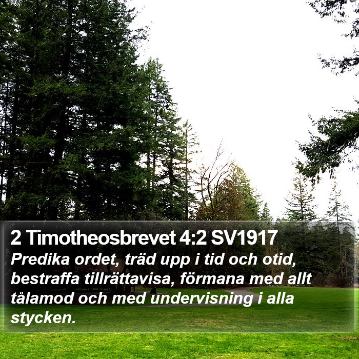 2 Timotheosbrevet 4:2 SV1917 Bible Study