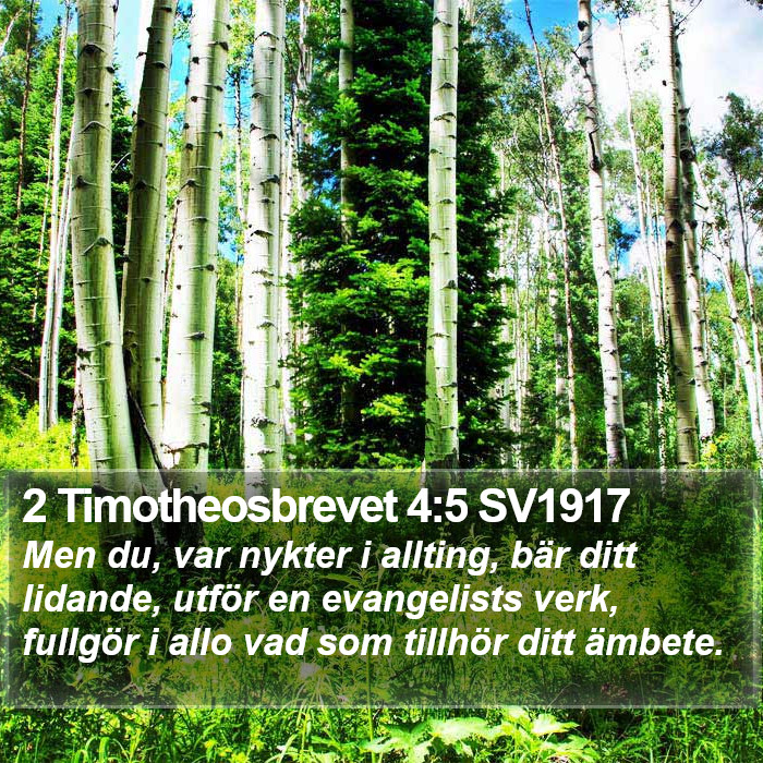 2 Timotheosbrevet 4:5 SV1917 Bible Study