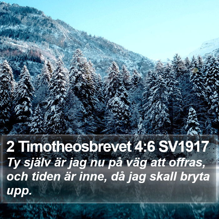 2 Timotheosbrevet 4:6 SV1917 Bible Study