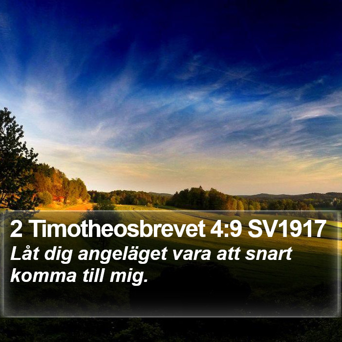 2 Timotheosbrevet 4:9 SV1917 Bible Study