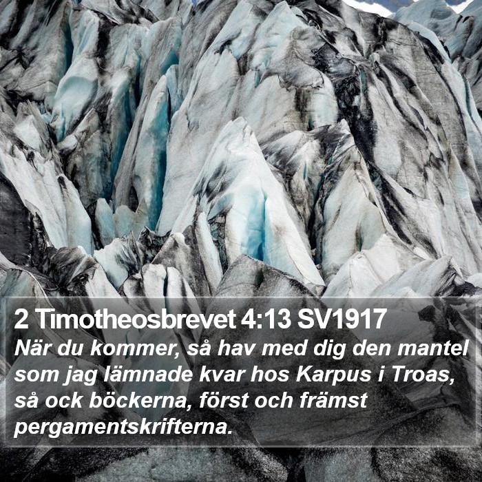 2 Timotheosbrevet 4:13 SV1917 Bible Study