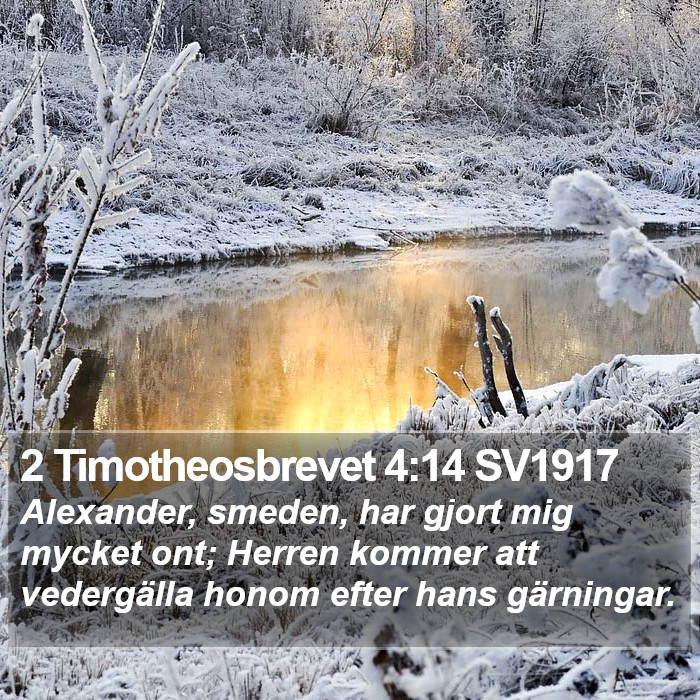 2 Timotheosbrevet 4:14 SV1917 Bible Study