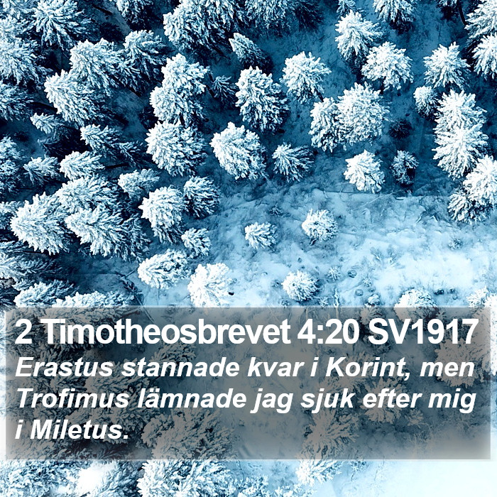 2 Timotheosbrevet 4:20 SV1917 Bible Study