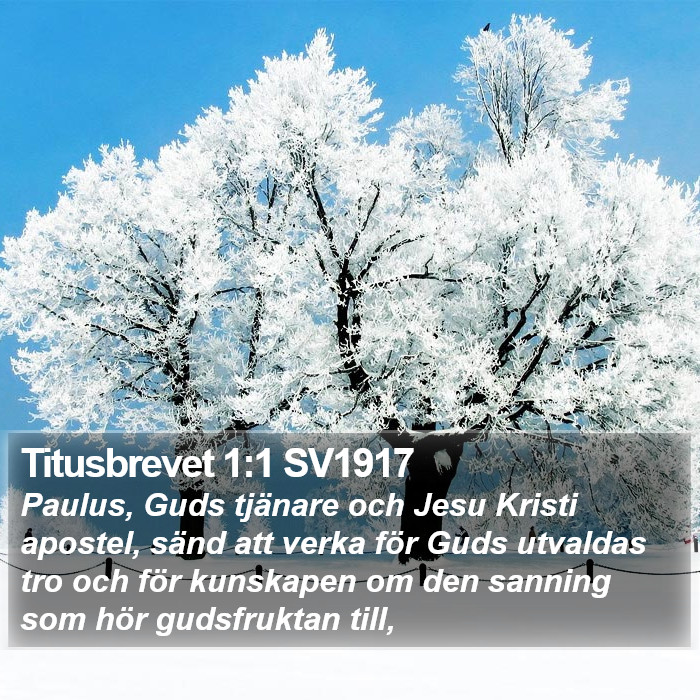 Titusbrevet 1:1 SV1917 Bible Study