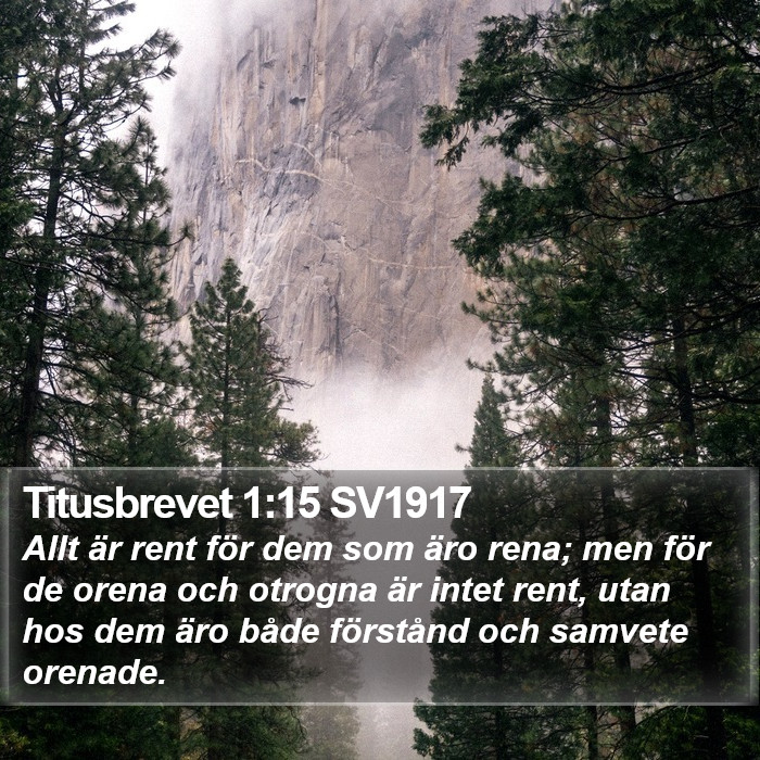 Titusbrevet 1:15 SV1917 Bible Study