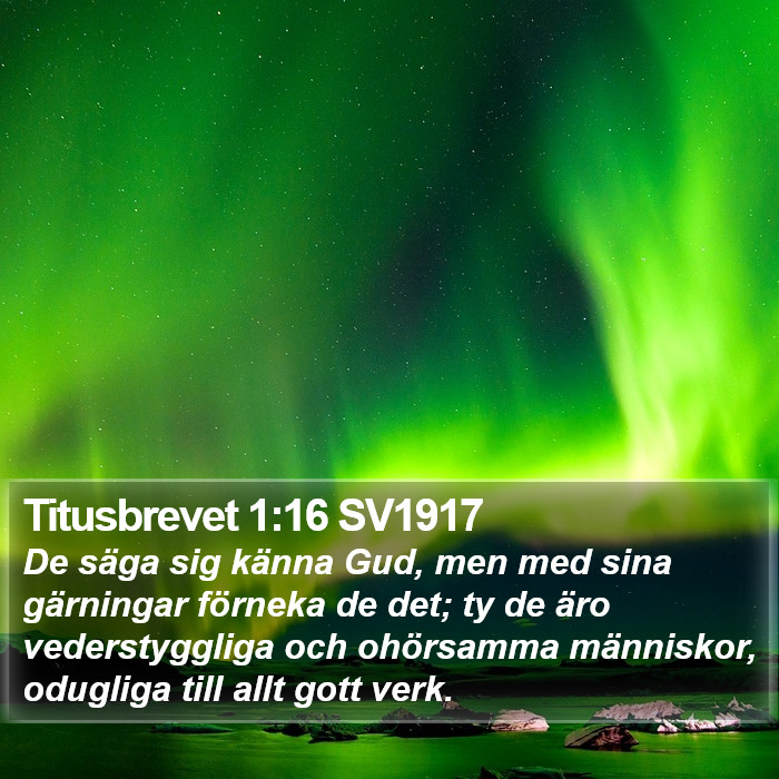 Titusbrevet 1:16 SV1917 Bible Study